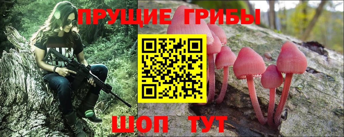 Галлюциногенные грибы Psilocybe Касимов