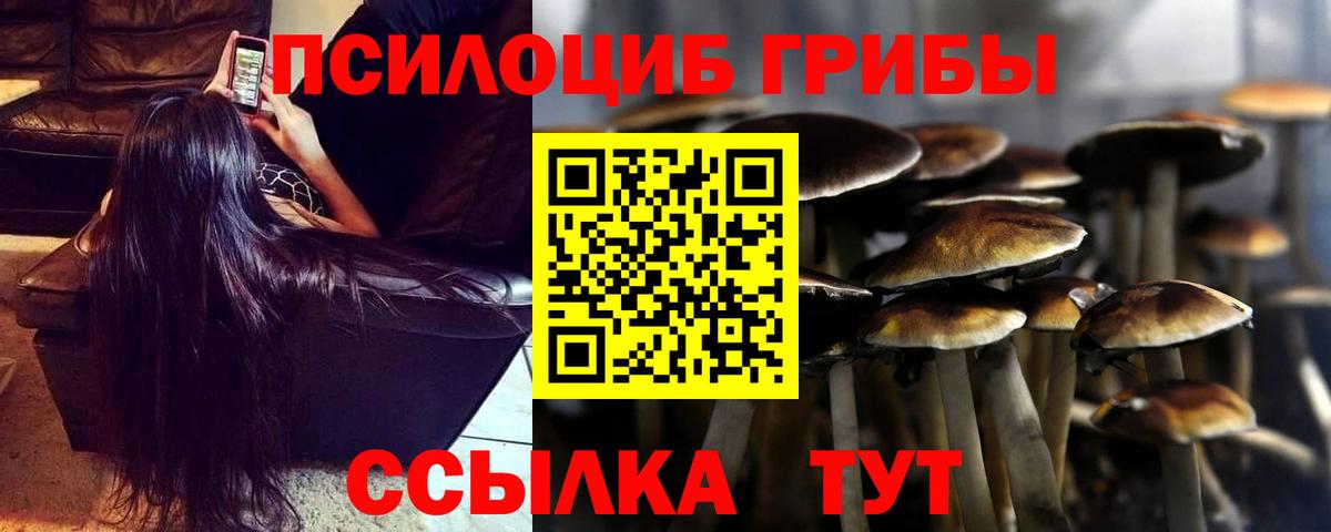 как найти закладки  Псилоцибиновые грибы Cubensis  Псилоцибиновые грибы мухоморы  Вход с VPN  Касимов 